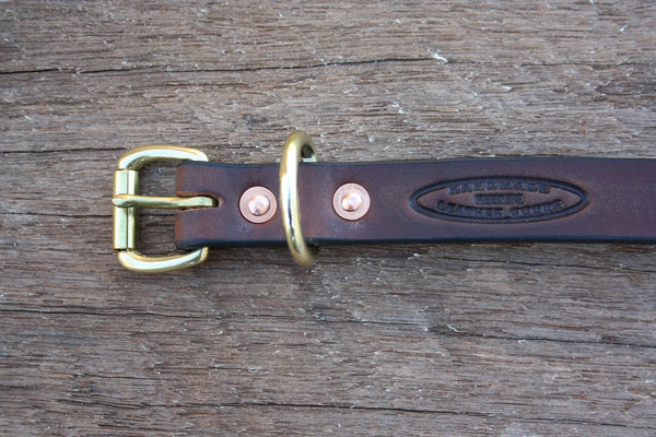 Dog Collar in Rich Brown with Solid Brass Hardware