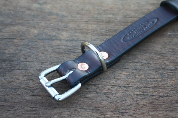 Dog Collar in Rich Brown with Stainless Steel Hardware