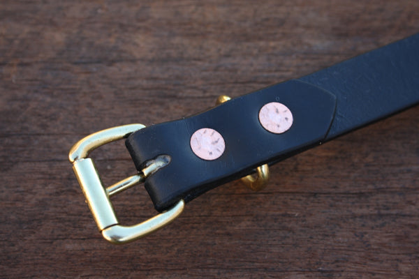 Dog Collar in Black with Solid Brass Hardware