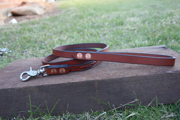 Dog Lead in London Tan with Stainless Steel Hardware