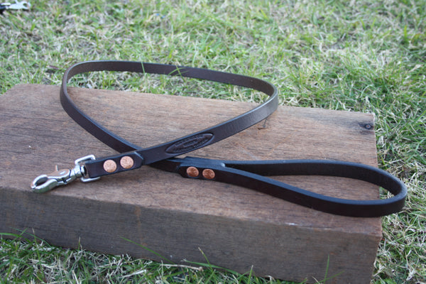 Dog Lead in Rich Brown with Stainless Steel Hardware