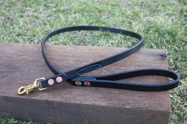 Dog Lead in Black with Solid Brass Hardware